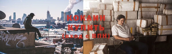 не бодяженный Пересвет