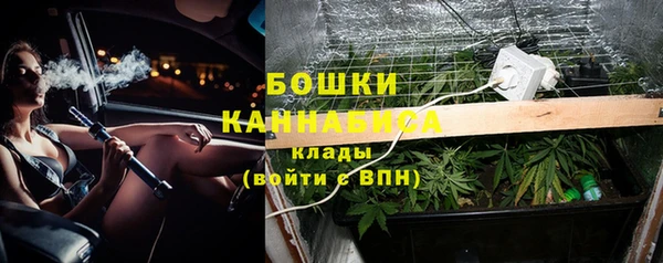 не бодяженный Пересвет
